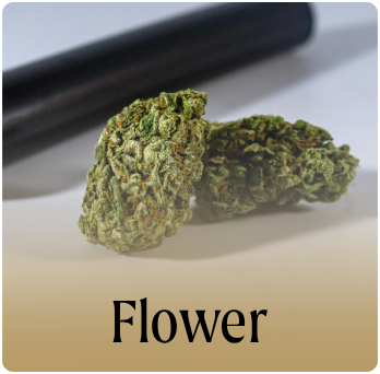 jestersdispensary.com_ (6)